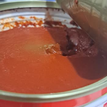 Bozulmuş Konserve Domates Salçası İçinde Kıl, Tamek Müşteri Hizmetleri Cevapsız