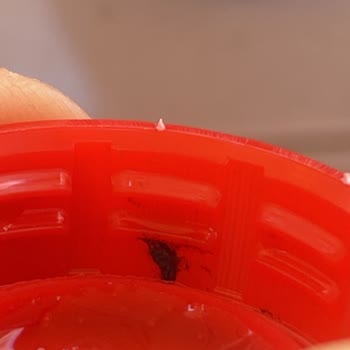 Coca-Cola Şişesinde Siyah Yabancı Madde Ve Sağlık Riski