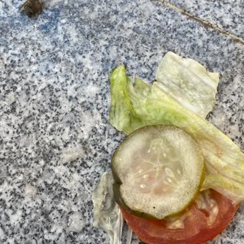 Kurye Siparişi Yere Düşürdü, Hijyenik Olmadığı İçin Talebim Reddedildi