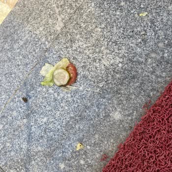 Kurye Siparişi Yere Düşürdü, Hijyenik Olmadığı İçin Talebim Reddedildi