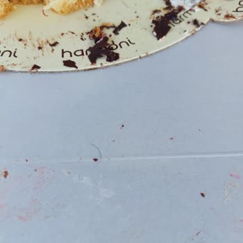 Meyveli Pastada Kıl, Mide Bulantısı Ve İade Talebi