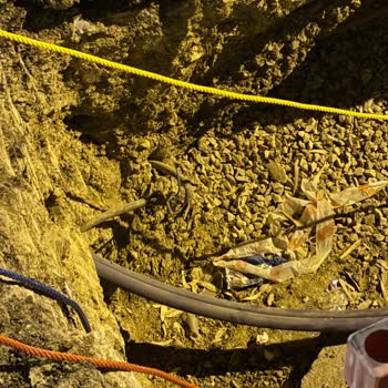 Bozulan Altyapı Nedeniyle Kesintili Fiber İnternet Ve Destek Yokluğu