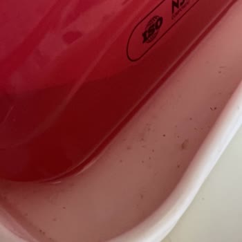 Pala Su Arıtma Cihazı Su Gelmiyor, Servis Geri Dönüş Yapmadı
