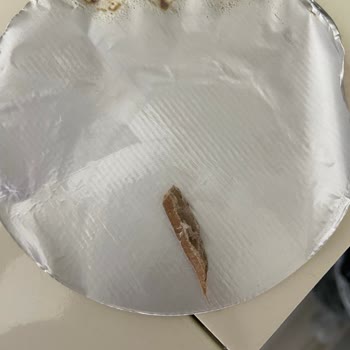 Bigjoy Protein Tozunda Karton Parçası Ve Alüminyum Kapak Yanığı