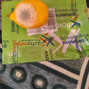 Yanlış Ağırlıklandırma Ve Bozulmuş Limon Nedeniyle Aşırı Kargo Ücreti