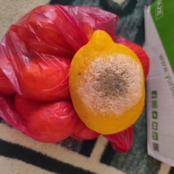 Yanlış Ağırlıklandırma Ve Bozulmuş Limon Nedeniyle Aşırı Kargo Ücreti