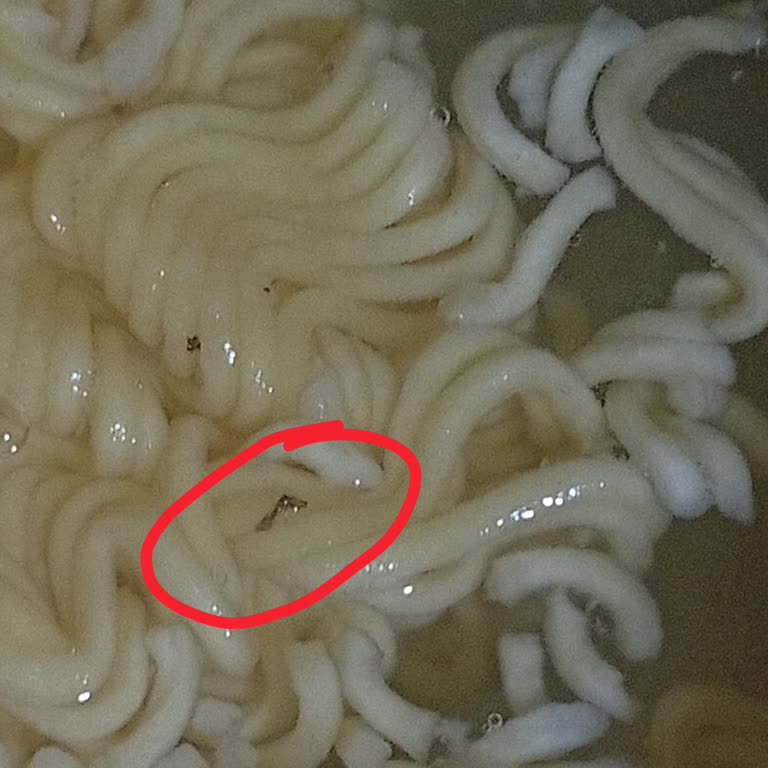 A101 Şubesinde Satılan Noodle’da Böcek Tespiti Ve Cevapsız Şikayet