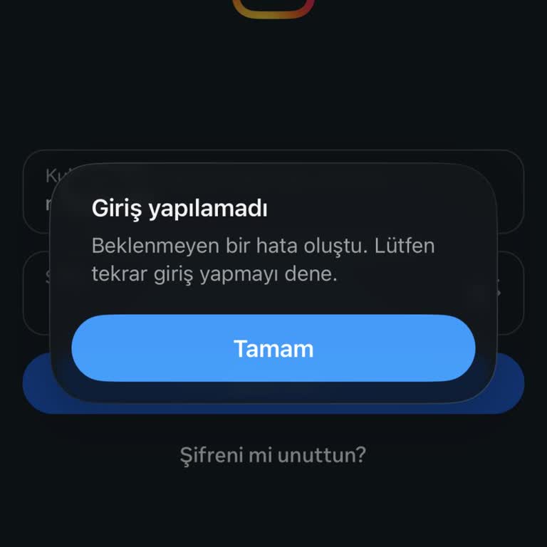 İPhone 13'te Instagram Giriş Sorunu