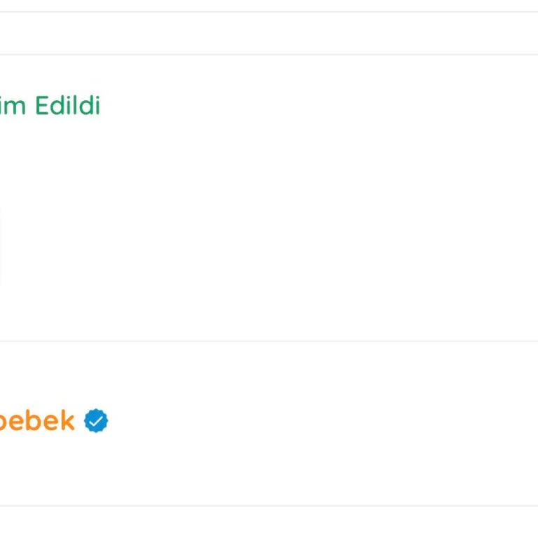 Teslim Edilmediği Siparişin Kargo Hatası Ve İade Talebi