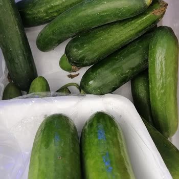 Migros Şubesinde Silor Salatalıkta Yanıltıcı Paketleme