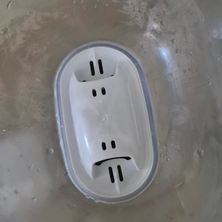 Brita Sürahi Suyunun Kötü Tadına Karşı Filtre Değişimlerine Rağmen Çözüm İsteği