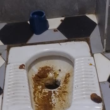 Genç Millet Parkı Kadın Tuvaletinde Hijyen İhmalinin Cinsiyet Ayrımcılığına Dönüşmesi
