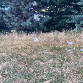 Azerbaycan Dostluk Parkı’nda Bakımsız Otopark Ve Alkol Tüketimi