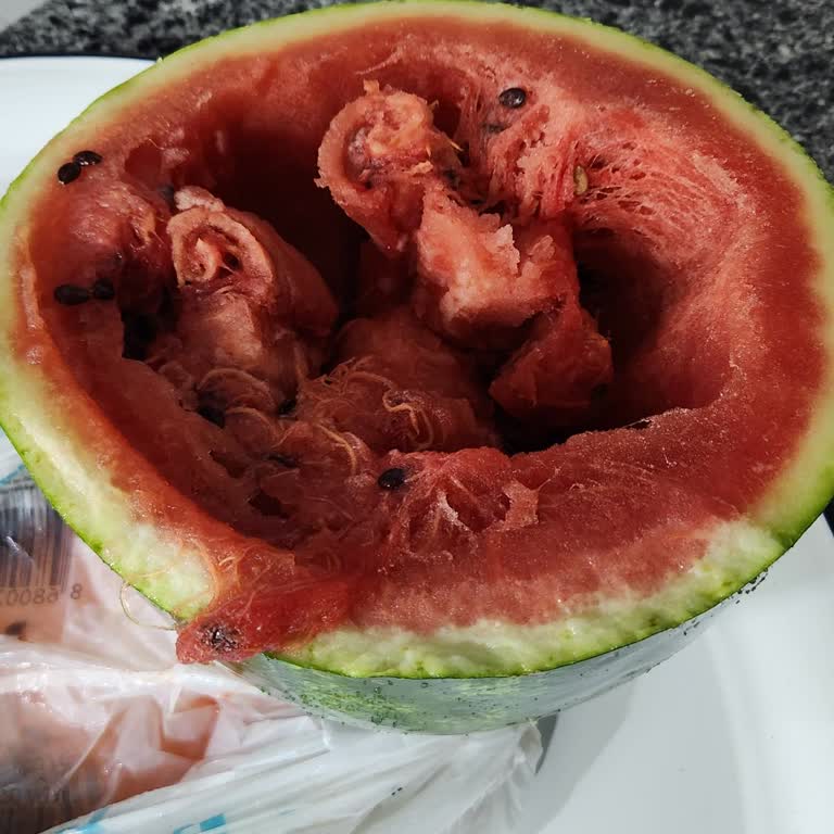 Tarihi Geçmiş Bozuk Karpuzun İadesi Reddedildi