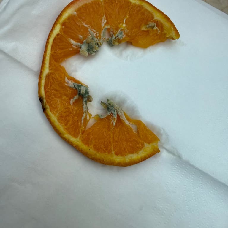 Küflü Portakal Dilimi İçeren Limonata Ve Yanıltıcı Açıklama