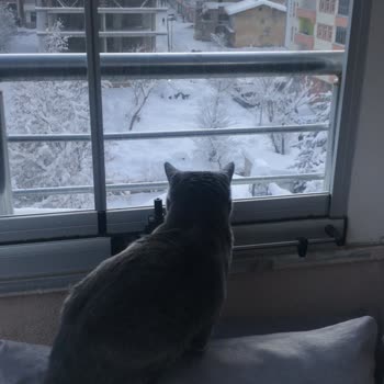 Albert Cam Balkon Sisteminde Eksik Fitiller Ve Kilitler Ve İlgisiz Servis Nedeniyle Uzun Süreli Mağduriyet