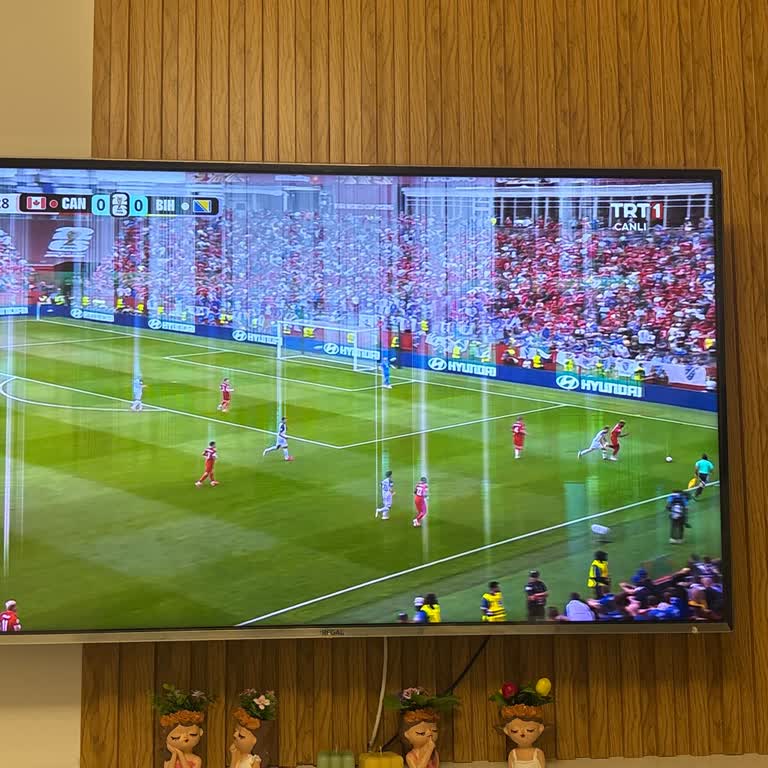 Regal 58 İnç TV'de Kronik Panel Arızası Ve Garanti Sonrası Servis Eksikliği
