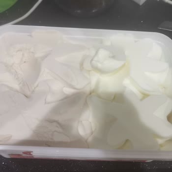 Atatürk Orman Çiftliği Dondurmanın Tadı Farklı
