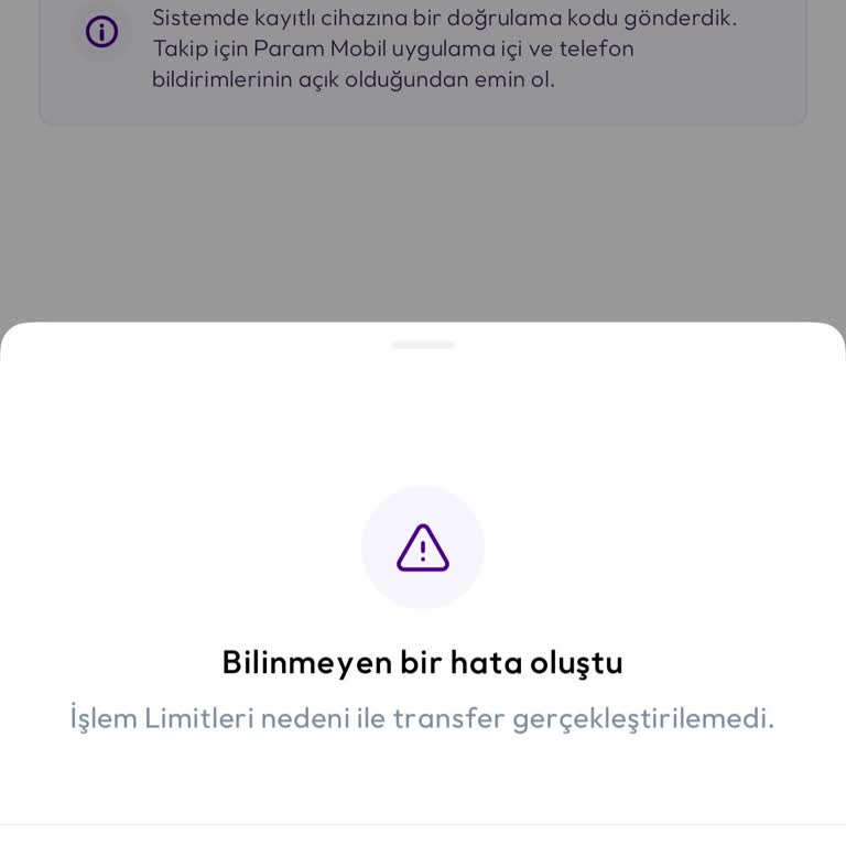 Yüksek Limitli Hesabımda Para Çekme Ve Transfer İşlemleri Engellendi