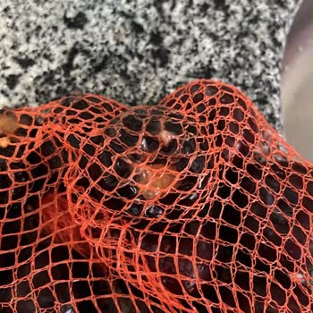 Jumbo Boy Eriklerde Çürüklük Ve Satıcı İletişimsizliği