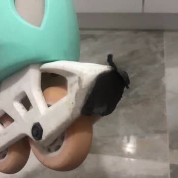 Decathlon İzmit’te Çocuk Pateni Fren Pabucu Eksikliği