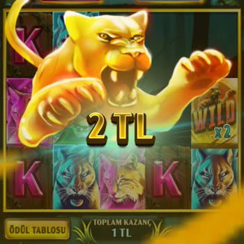 Milli Piyango Platformunda Vahşi Serüven Slot Oyununda Hile Şüphesi