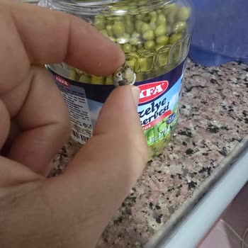 Bezelye Konservesinde Salyangoz Ve Yanıtsız Müşteri Hizmeti