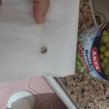 Bezelye Konservesinde Salyangoz Ve Yanıtsız Müşteri Hizmeti