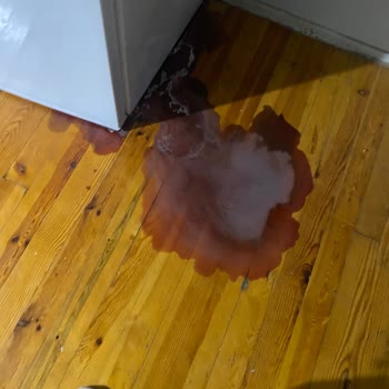 Servis Hatası Nedeniyle 300 Litre Dondurucu Gıdaları Ve Ahşap Parkeler Zayi Oldu