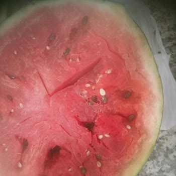 A101 Şubesinde Bozuk Karpuz İçin İade Reddi Ve Müşteri Görmezden Gelinmesi