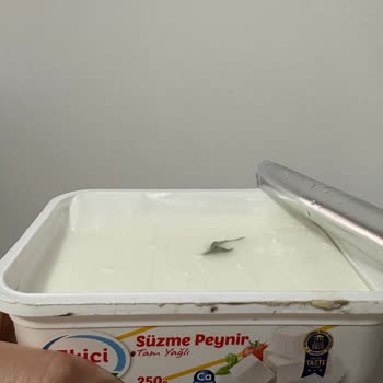 Ekici Markalı Süzme Peynirde Yabancı Nesne Bebeğimi Endişelendirdi