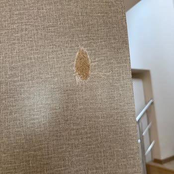 Eksik Ve Hasarlı Ürünler İçin Acil Teslimat Talebi