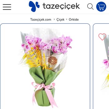 Taze Çiçek | Tazecicek.com Orkide Siparişimde Yanıltıcı Görseller Ve Yanlış Ürün Gönderimi