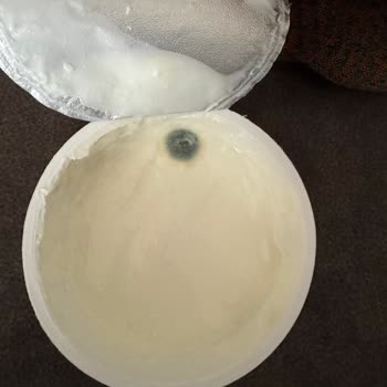 Küflü Quark Ürünleri İçin Sağlık Endişesi Ve İade Talebi