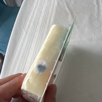 Açılmamış Sütaş Peynirinde Küflenme Ve Gıda Güvenliği Sorunu