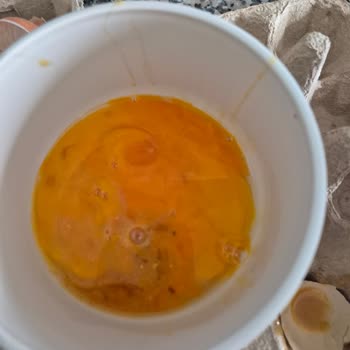 Bozuk Yumurta Teslimatı Ve Müşteri Hizmetlerinin Kaba Tutumu