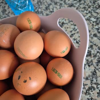 Bozuk Yumurta Teslimatı Ve Müşteri Hizmetlerinin Kaba Tutumu