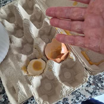 Bozuk Yumurta Teslimatı Ve Müşteri Hizmetlerinin Kaba Tutumu