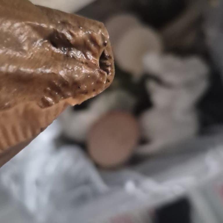 Migros Coffee Time Filtreleri Sıcak Suya Temas Anında Yırtılıyor Ve Kahve Ziyan Oluyor