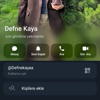 Telegram'dan Sahte Akdeniz Menkul Değerler Yatırım Danışmanlığıyla 1,35 Milyon Tl Kayıp