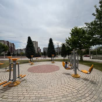 Park ve Yol Arasındaki Güvenlik Önlemleri Talebi
