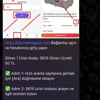 Instagramda Yüksek Kazanç Vaadi, Telegram Grubu Ve Kişisel Bilgi Sızdırma Şüphesi