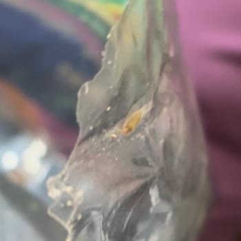 Ankara Makarnasında Böcek Görülmesi Ve Hijyen İhlali
