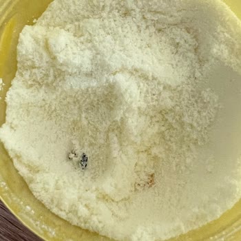 E-Bebek’ten Alınan Hipp Organik Devam Sütü Kutusunda Siyah Yabancı Maddeler Bulundu