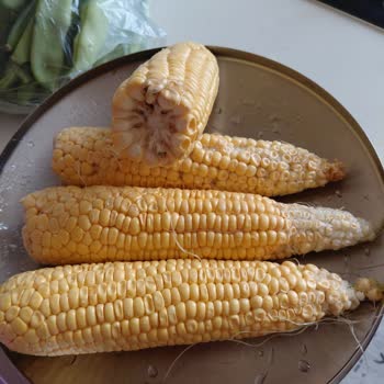 Migros Hemen'de Kalitesiz Mısır Teslimatı Ve Güven Kaybı