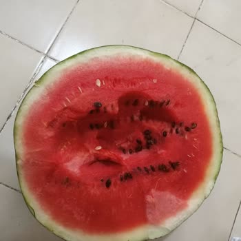 Eki aç