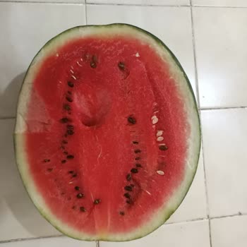 Eki aç