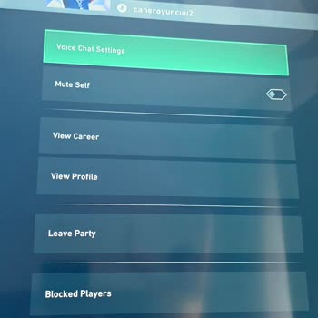 Riot ID'imin Kopyalanması Ve Taklit Edilmesi