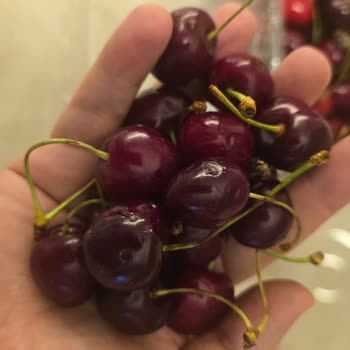 Reklamda Gösterilen Taze Ürünler Gerçekte Bozulmuş Ve Yanıltıcı