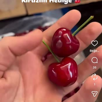 Reklamda Gösterilen Taze Ürünler Gerçekte Bozulmuş Ve Yanıltıcı